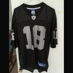 randy moss raiders jersey